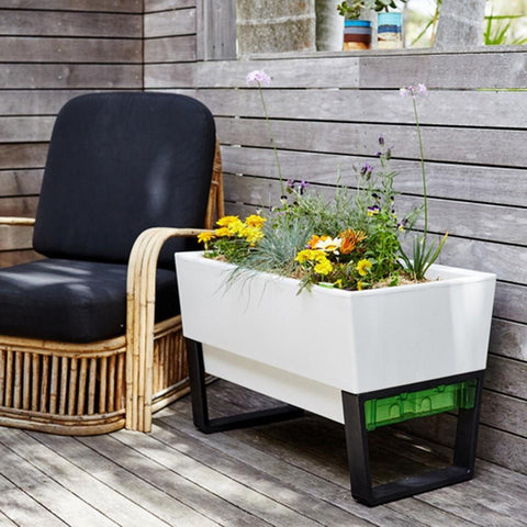 Glowpear Urban Garden Self Watering Planter Box