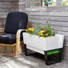 Image of Glowpear Urban Garden Self Watering Planter Box