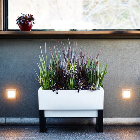 Glowpear Urban Garden Self Watering Planter Box