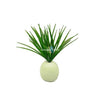 Image of Grass Stem
