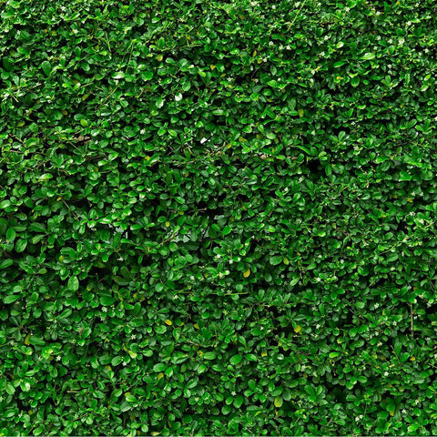 Green Jasmine Hedge Custom Sized UV Printed Fence Cover