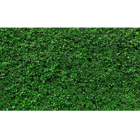 Green Jasmine Hedge Custom Sized UV Printed Fence Cover