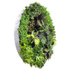 Image of Green Sensation Artificial Plant Wall Disc 150cm Diameter