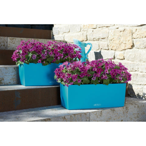 Lechuza Balconera 50 Self Watering Pot - 50cm