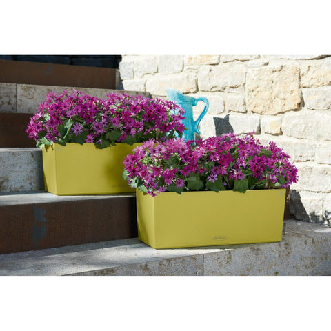 Lechuza Balconera 50 Self Watering Pot - 50cm