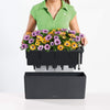 Image of Lechuza Balconera 50 Self Watering Pot - 50cm