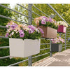 Image of Lechuza Balconera 50 Self Watering Pot - 50cm