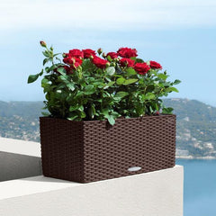 Lechuza Balconera Planter Cottage 50