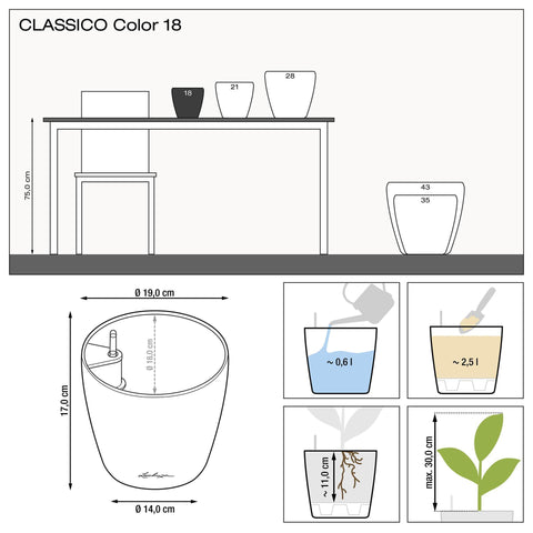 Lechuza CLASSICO Color 18