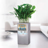 Image of Lechuza Canto Column 30 Self Watering Pot - 30cm