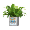 Image of Lechuza Canto Cube 30 Self Watering Pot - 30cm