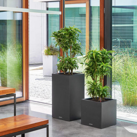 Lechuza Canto Stone 40 Column
