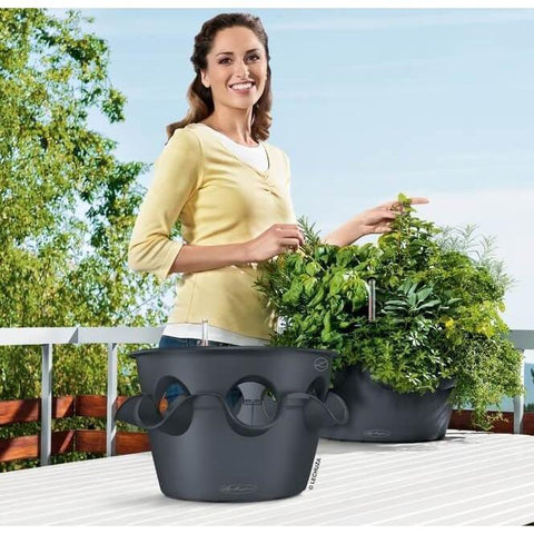 cascade self watering planter Lechuza Cascada 49cm Self Watering Cascade Planter – Vertical Gardens Direct