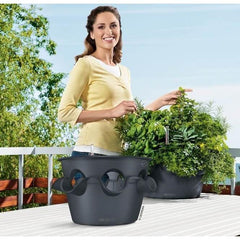 Lechuza Cascada 49cm Self Watering Cascade Planter