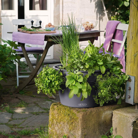 Lechuza Cascada 49cm Self Watering Cascade Planter