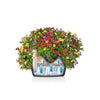 Image of Lechuza Cascada 49cm Self Watering Cascade Planter