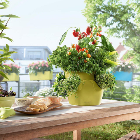 cascade self watering planter Lechuza Cascadino 36cm Self Watering Cascade Planter – Vertical Gardens Direct