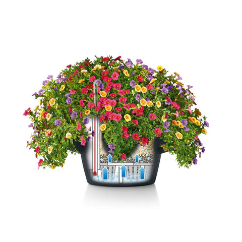 Lechuza Cascadino 36cm Self Watering Cascade Planter