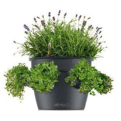 Lechuza Cascadino 36cm Self Watering Cascade Planter