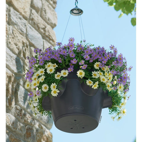 lechuza hanging planter Lechuza Cascadino 36cm Self Watering Hanging Planter – Vertical Gardens Direct