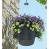 Image of Lechuza Cascadino 36cm Self Watering Hanging Planter