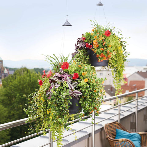 lechuza hanging planter Lechuza Cascadino 36cm Self Watering Hanging Planter – Vertical Gardens Direct
