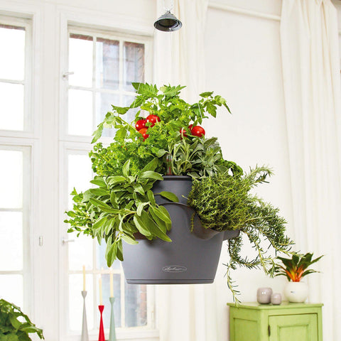 lechuza hanging planter Lechuza Cascadino 36cm Self Watering Hanging Planter – Vertical Gardens Direct