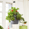 Image of Lechuza Cascadino 36cm Self Watering Hanging Planter