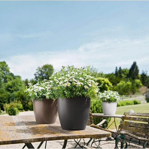 lechuza classico self watering polypropylene indoor outdoor planter Lechuza Classico Colour 21 Self Watering Pot