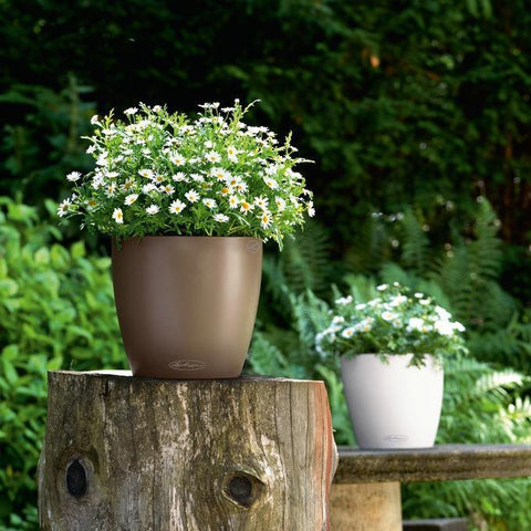 21cm plant pot Lechuza Classico Colour 21 Self Watering Pot