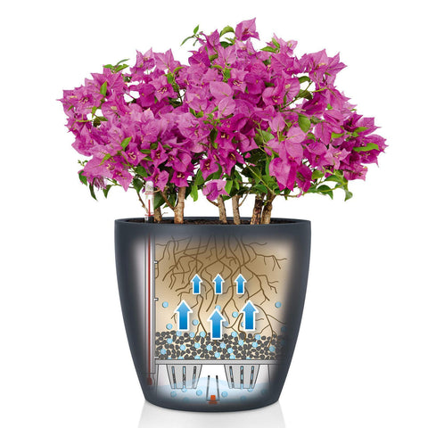 21cm plant pot Lechuza Classico Colour 21 Self Watering Pot