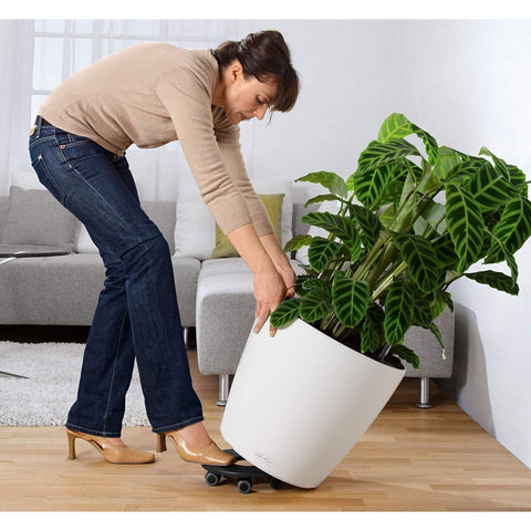 28cm plant pot Lechuza Classico Colour 28 Self Watering Pot