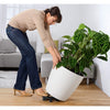 Image of Lechuza Classico Colour 43 Self Watering Pot - 43cm