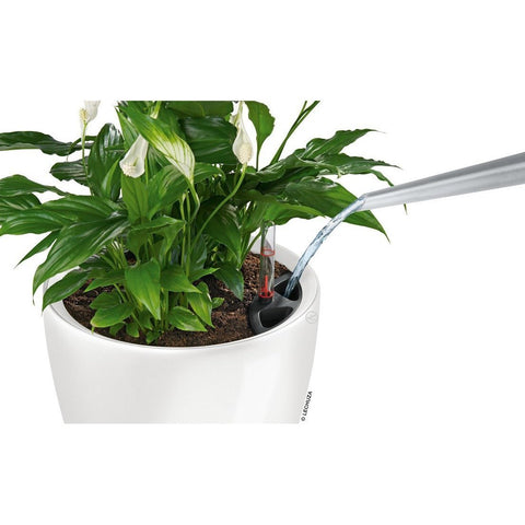 Lechuza Classico LS 21 Self Watering Pot - 21cm