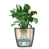 Image of Lechuza Classico LS 21 Self Watering Pot - 21cm