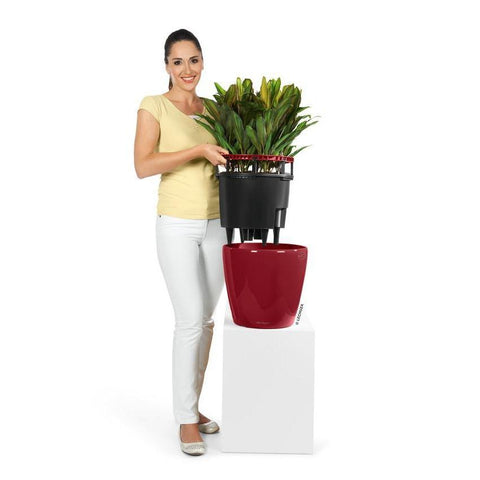 Lechuza Classico LS 21 Self Watering Pot - 21cm