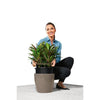 Image of Lechuza Classico LS 21 Self Watering Pot - 21cm