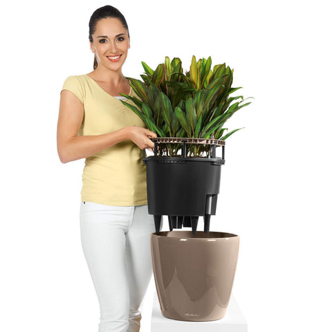 21cm plant pot Lechuza Classico LS 21 Self Watering Pot