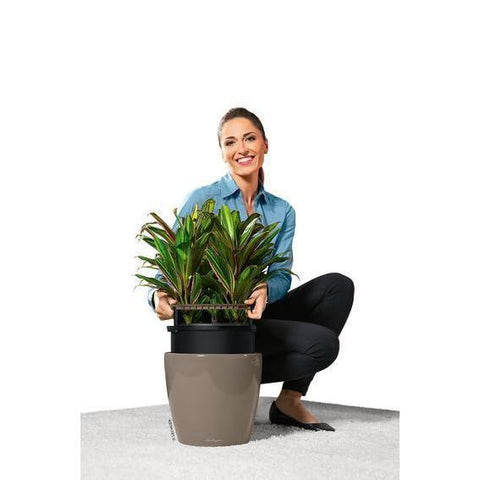 lechuza classico premium self-watering round planter Lechuza Classico LS 28 Self Watering Pot