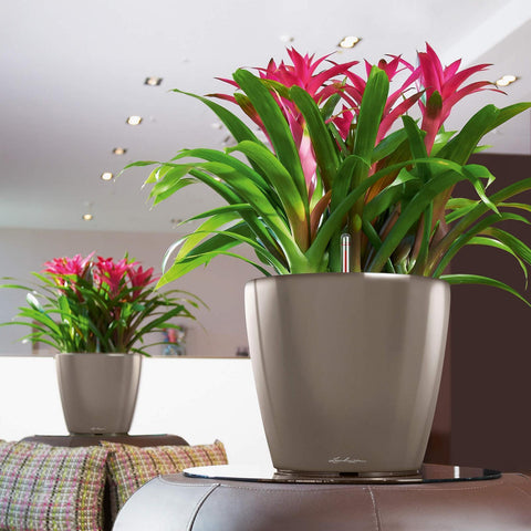 lechuza classico premium self-watering round planter Lechuza Classico LS 35 Self Watering Pot