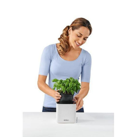 Lechuza Cube 14 Self Watering Pot - 14cm