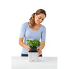 Image of Lechuza Cube 14 Self Watering Pot - 14cm