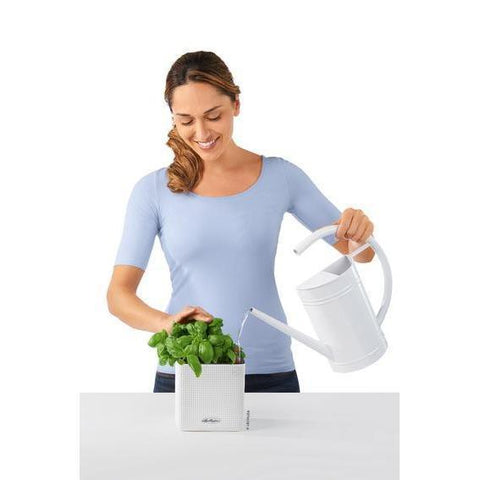 Lechuza Cube 14 Self Watering Pot - 14cm