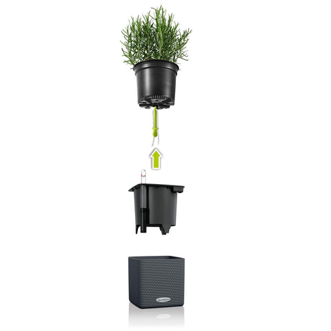 Lechuza Cube 14 Self Watering Pot - 14cm