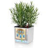 Image of Lechuza Cube 14 Self Watering Pot - 14cm