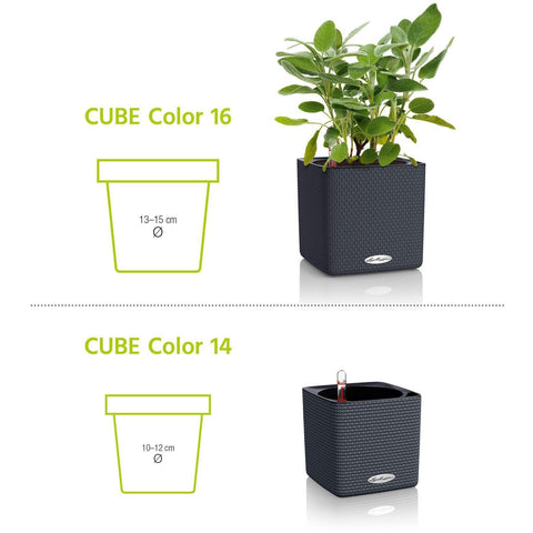 Lechuza Cube 14 Self Watering Pot - 14cm