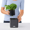 Image of Lechuza Cube 16 Self Watering Pot - 16cm