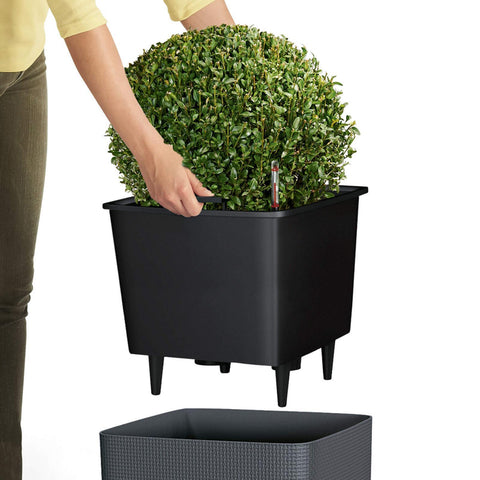 Lechuza Cube LS 35 Self Watering Pot - 35cm