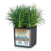 Image of Lechuza Cube LS 35 Self Watering Pot - 35cm