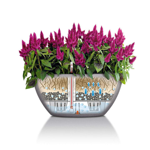 30 cm pot plant Lechuza Cubeto 30 Self Watering Pot